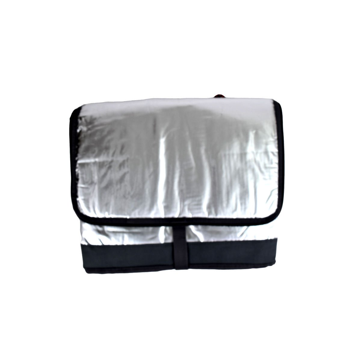 Bolso térmico tipo conservadora Go See plateado, 30 L
